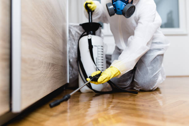 Flea Control Services in Cedar Glen West, NJ