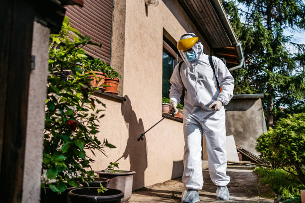Wasp Removal Services in Cedar Glen West, NJ