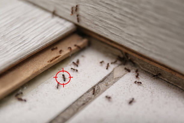 Best Wildlife Control Services  in Cedar Glen West, NJ