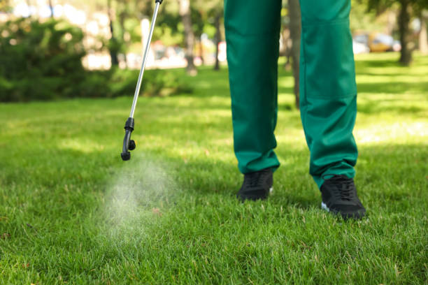 Reliable Cedar Glen West, NJ Pest Control Solutions
