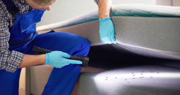 Best Flea Control Services  in Cedar Glen West, NJ