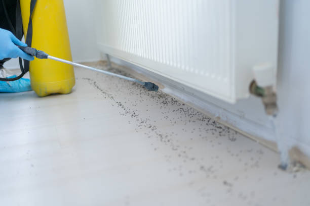 Best Pest Prevention Services  in Cedar Glen West, NJ