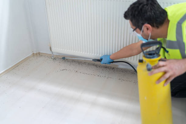 Best Affordable Pest Control Services  in Cedar Glen West, NJ